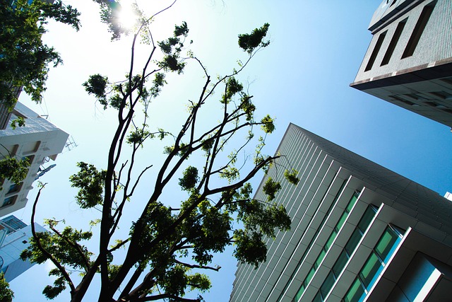 事業用不動産売買・賃貸仲介
